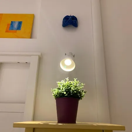 Fafa Apartment *