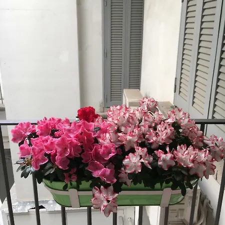 Fafa Apartment *